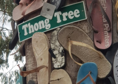 Thong tree