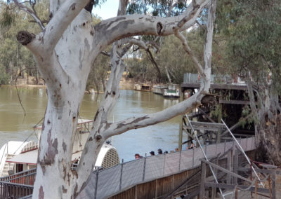 Echuca On the border with NSW