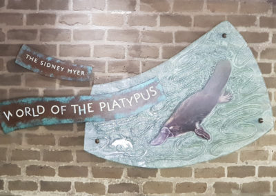 world of the Platypus