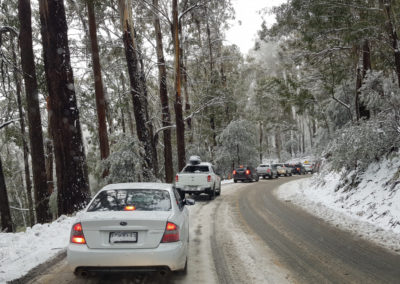 Busy road heading up to Mt Buller