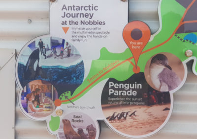 Antarctic Journey on Phillip Island