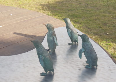 Penguin display Phillip Island