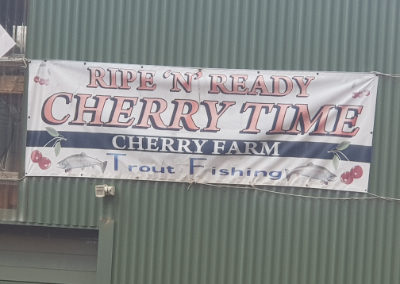 Cherry Farm, pick your own