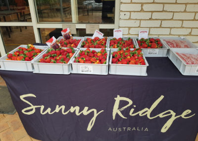 Sunny ridge strawberries
