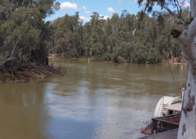 Bend in the Murray river