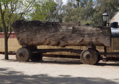 Big log at Echuca