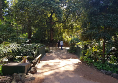 Bendigo gardens